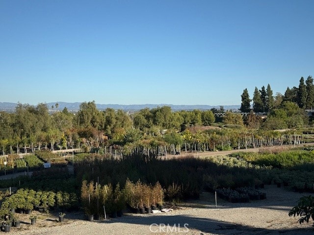 Building Photo - 3106 Via Serena S