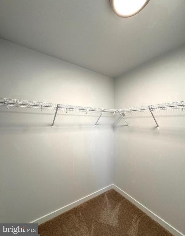 Building Photo - 148 Olga Dr