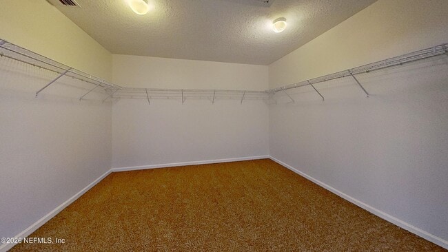 Building Photo - 3308 Turkey Creek Dr