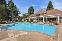 Building Photo - 2559 Plaza del Amo