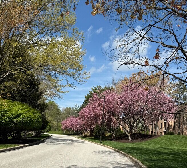 Valley Stream Village - 313 Valley Stream Ln