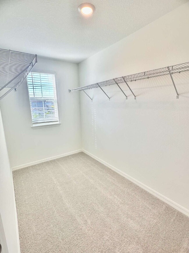 Building Photo - 8406 Blue Wave Ln E