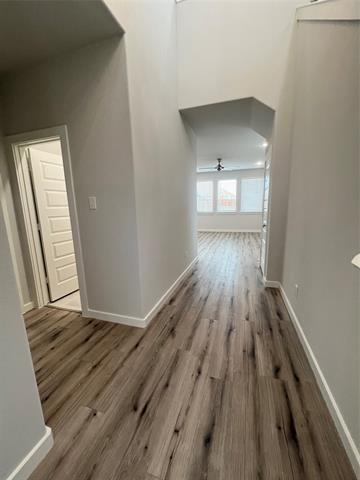 Building Photo - 2804 Spring Side Dr