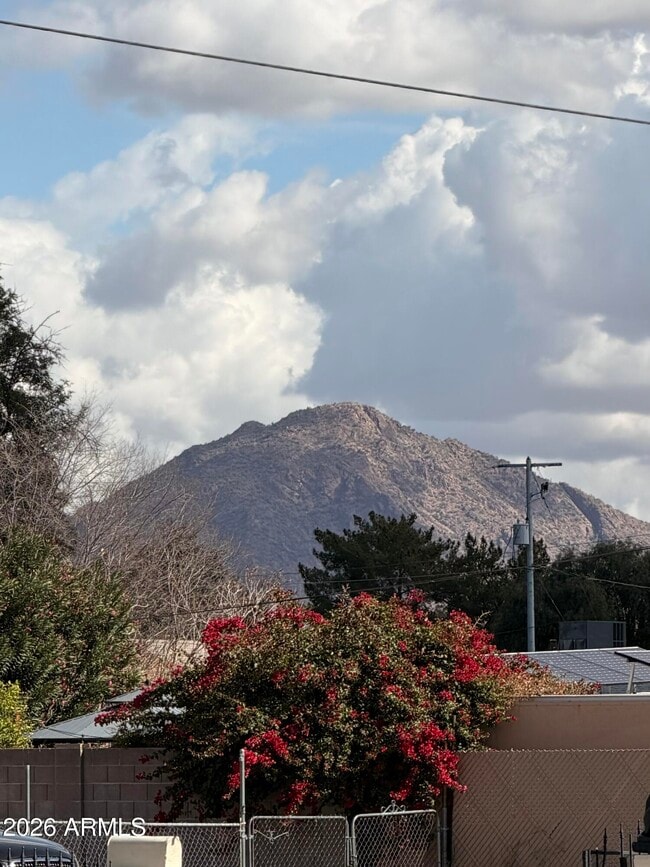 Building Photo - 2419 E Oak St