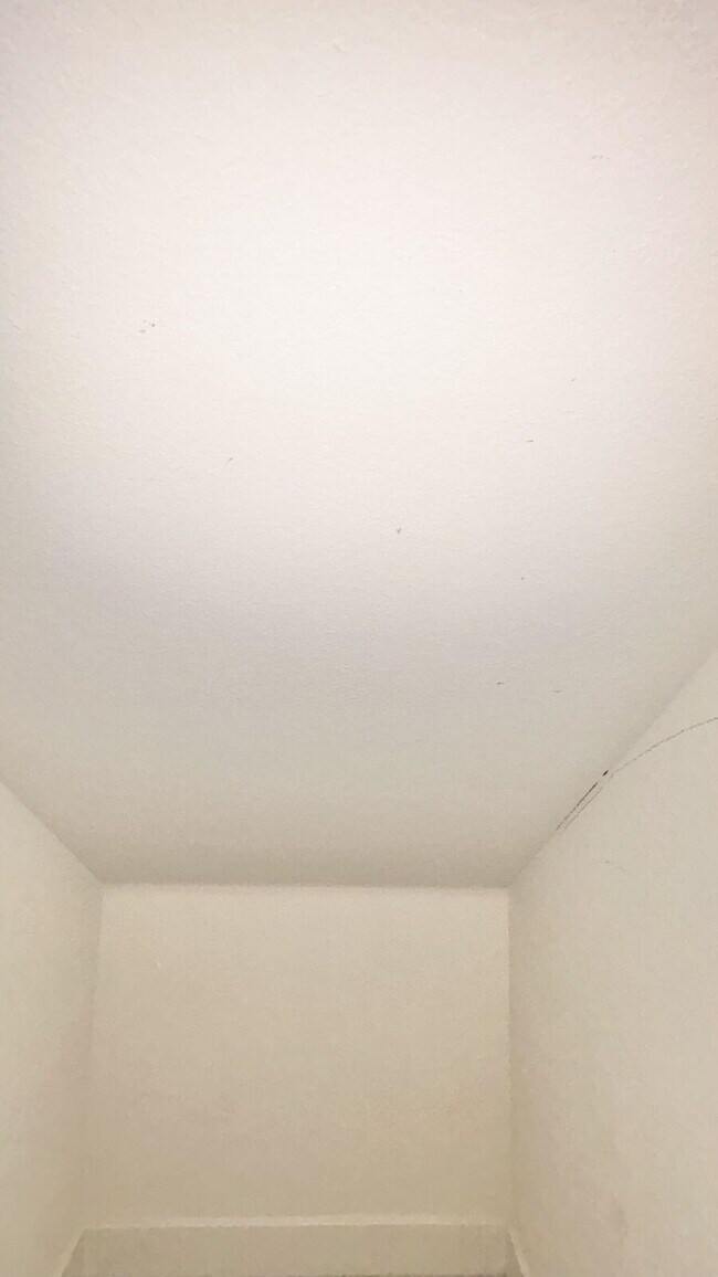 Building Photo - 4 Bedrooms Available University Park
