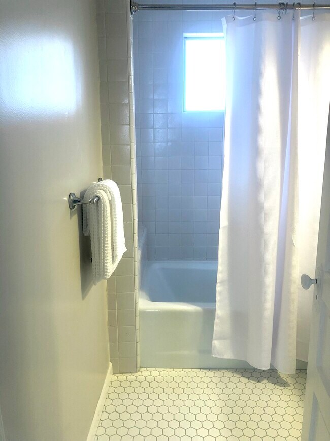 Deep cast iron tub/shower - 232 Market St