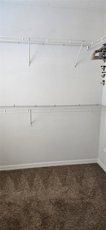 Building Photo - 11012 Black Swan Ct