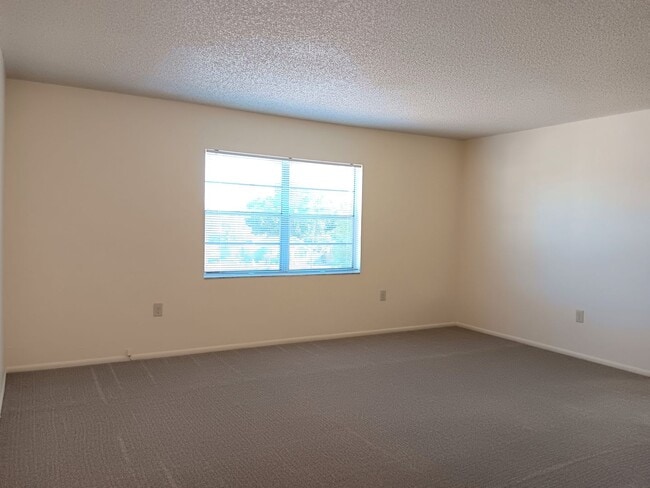 Building Photo - Sunny suite is SWEET in north St Pete - 2/...