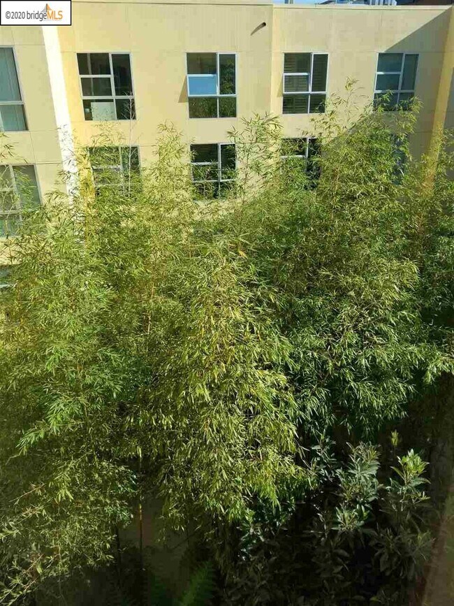 Building Photo - 585 9th St