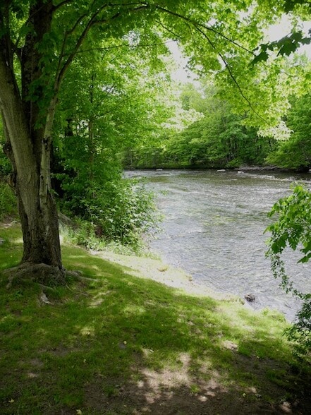 Backyard where I'm at now is hammock now is - 6201 NY-42