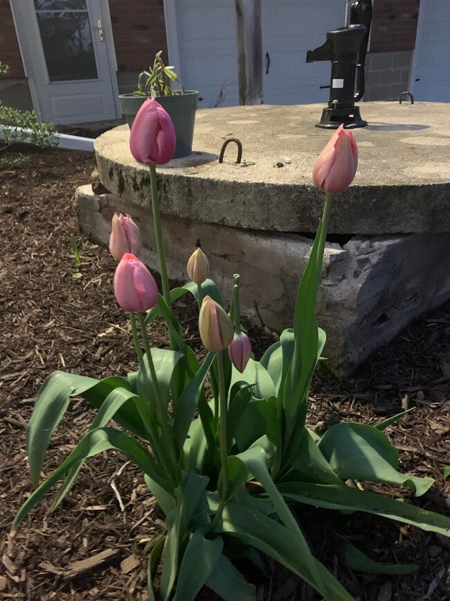 Building Photo - 293 Bear Hill Rd