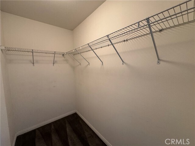 Building Photo - 3469 Presidio Ln