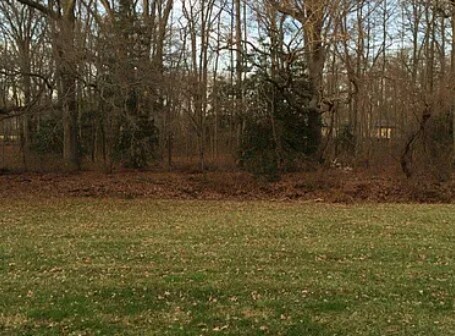 Building Photo - 3 Atram hall