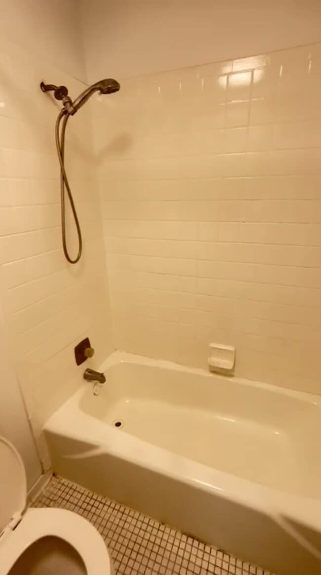 Building Photo - 2546 Lemon Tree Ln