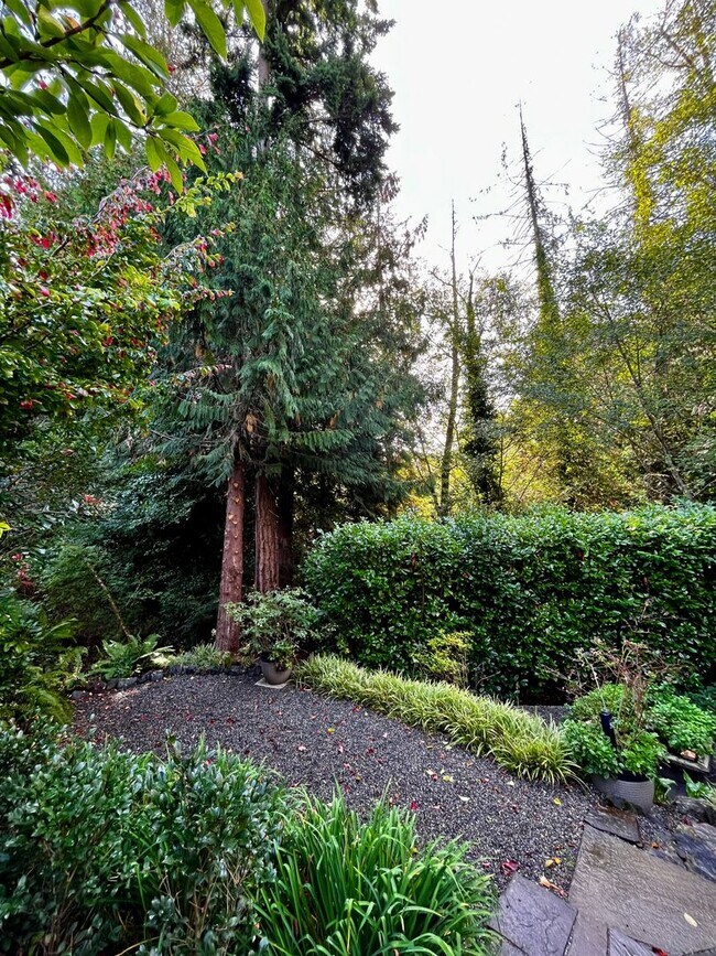 Building Photo - Beautiful 4 Bedroom Bainbridge Home Close ...
