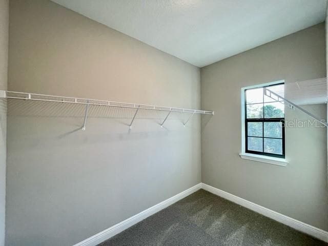 Building Photo - 1120 Spotted Sandpiper Lp