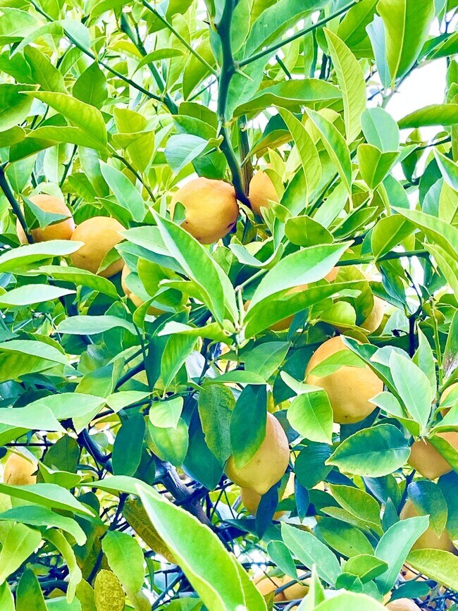 Building Photo - 58 Stanford Ct