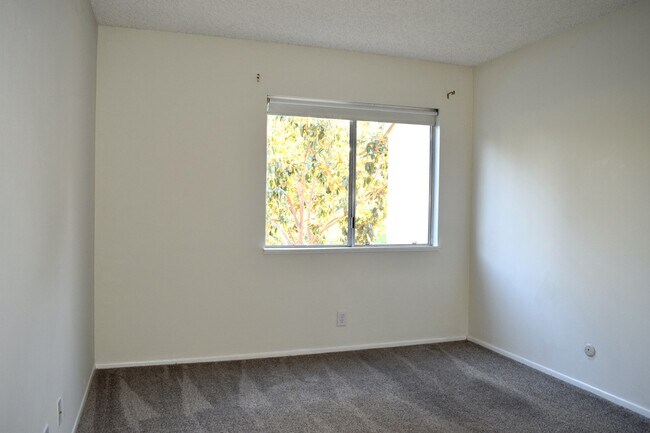 Building Photo - 24525 Trevino Dr