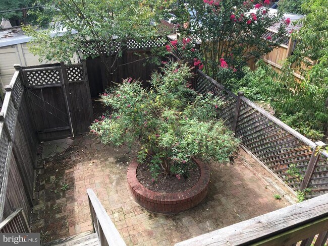 Building Photo - 3110 18th St NW