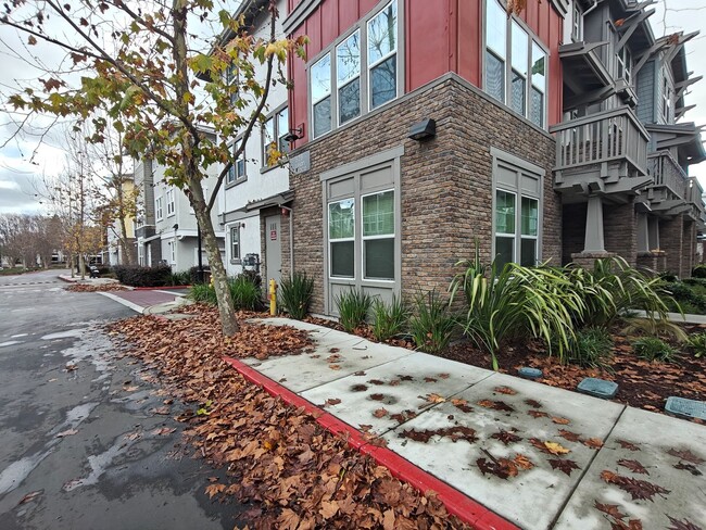 Building Photo - Coming Soon ? Bright, Modern Living in Sunnyvale