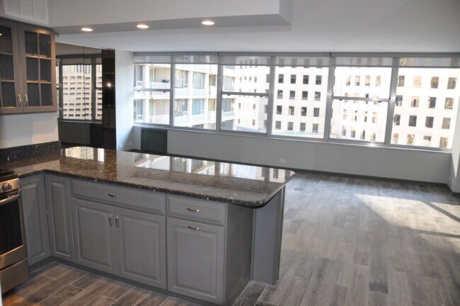 Building Photo - 1000 N Lake Shore Dr