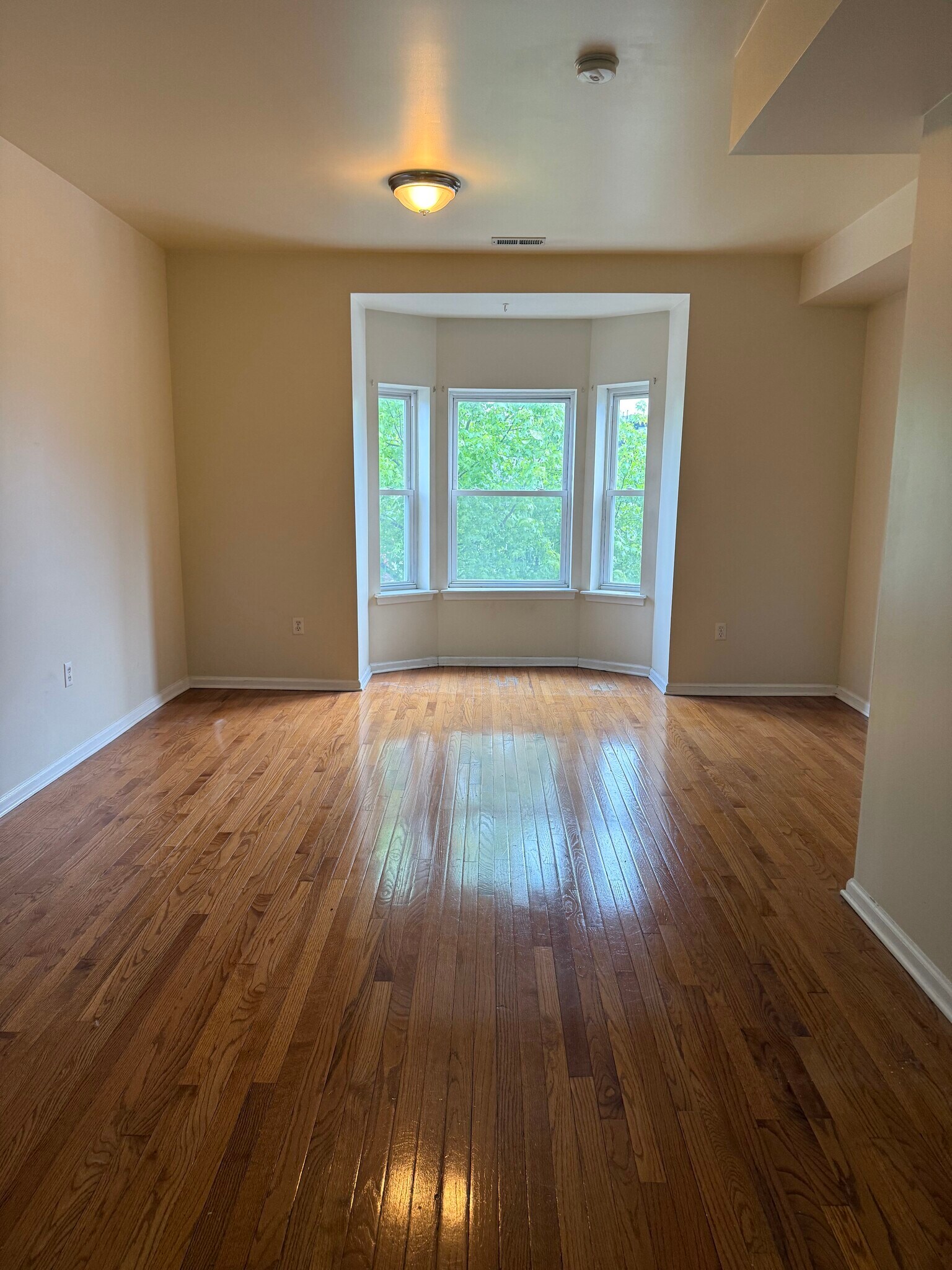 Living Room - 906 Whitelock St