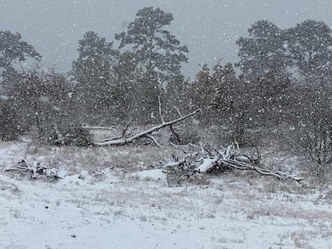 Building Photo - 143 Spring Hollow Trail