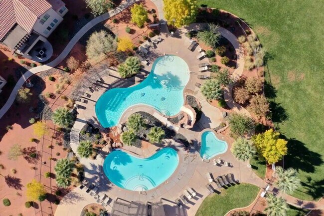 Building Photo - 3800 Paradise Vlg Dr