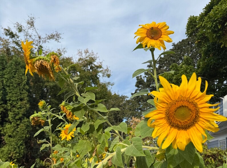 Building Photo - 3354 NW Crest Dr