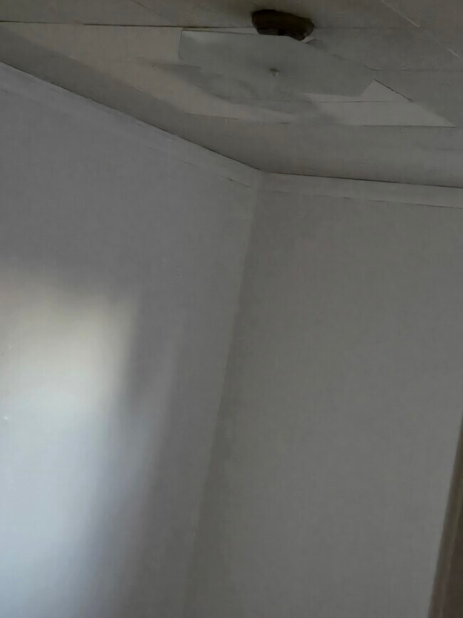 Building Photo - 2445 Brookwood St