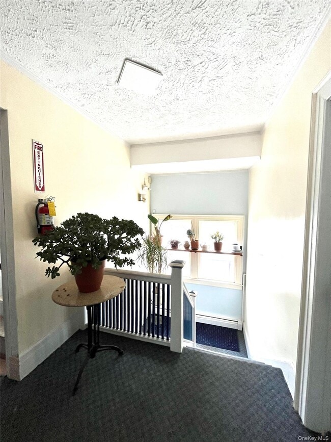 Building Photo - 7 Law St