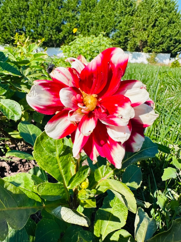 Building Photo - 4740 Canterbury Rd