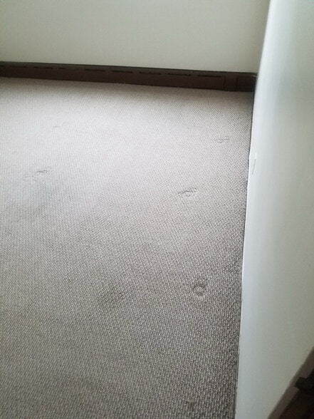 Building Photo - 8403 Buffalo Ave