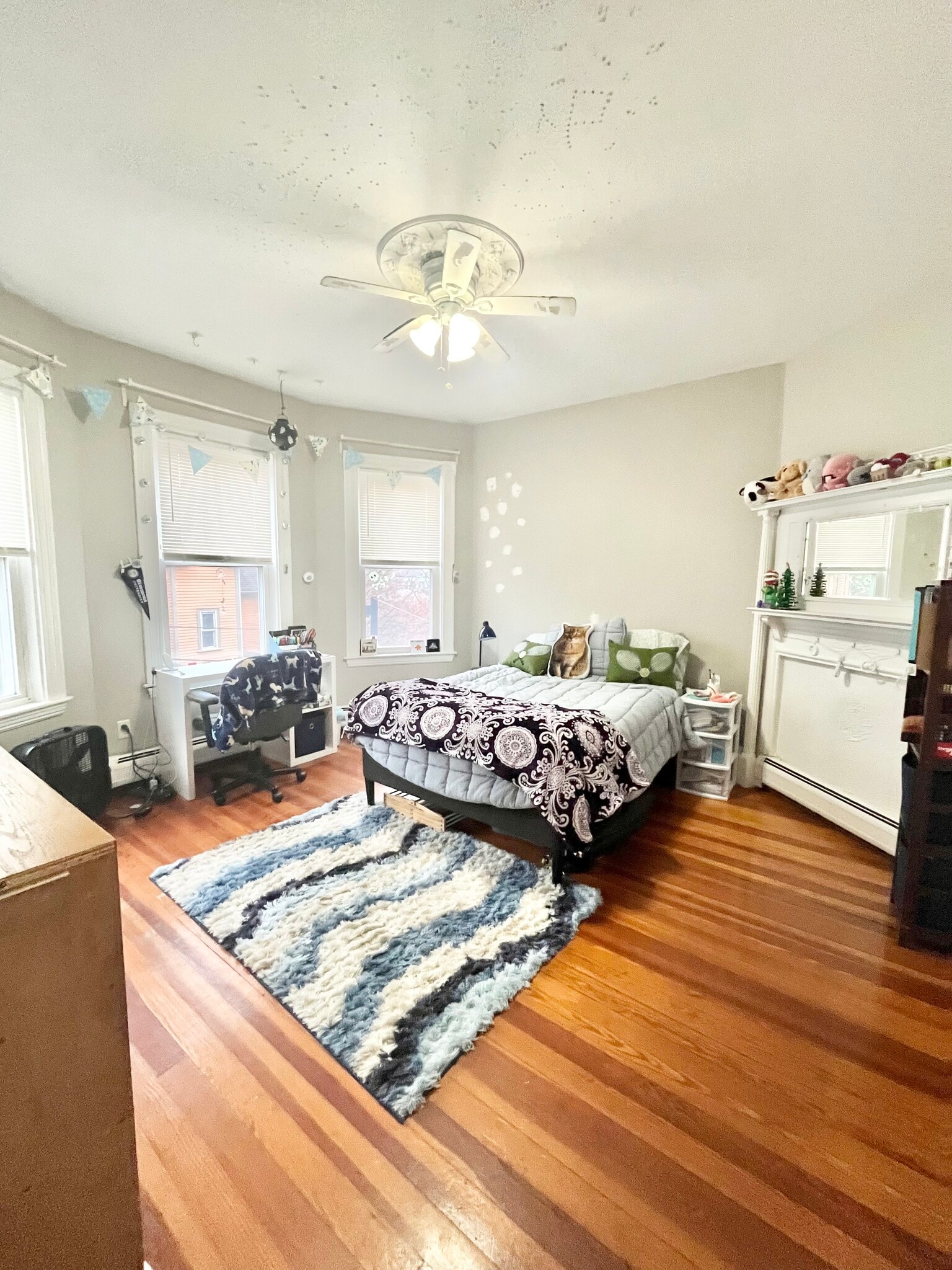 Building Photo - 12 Bucknam St