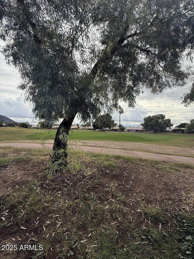 Building Photo - 6079 W Irma Ln