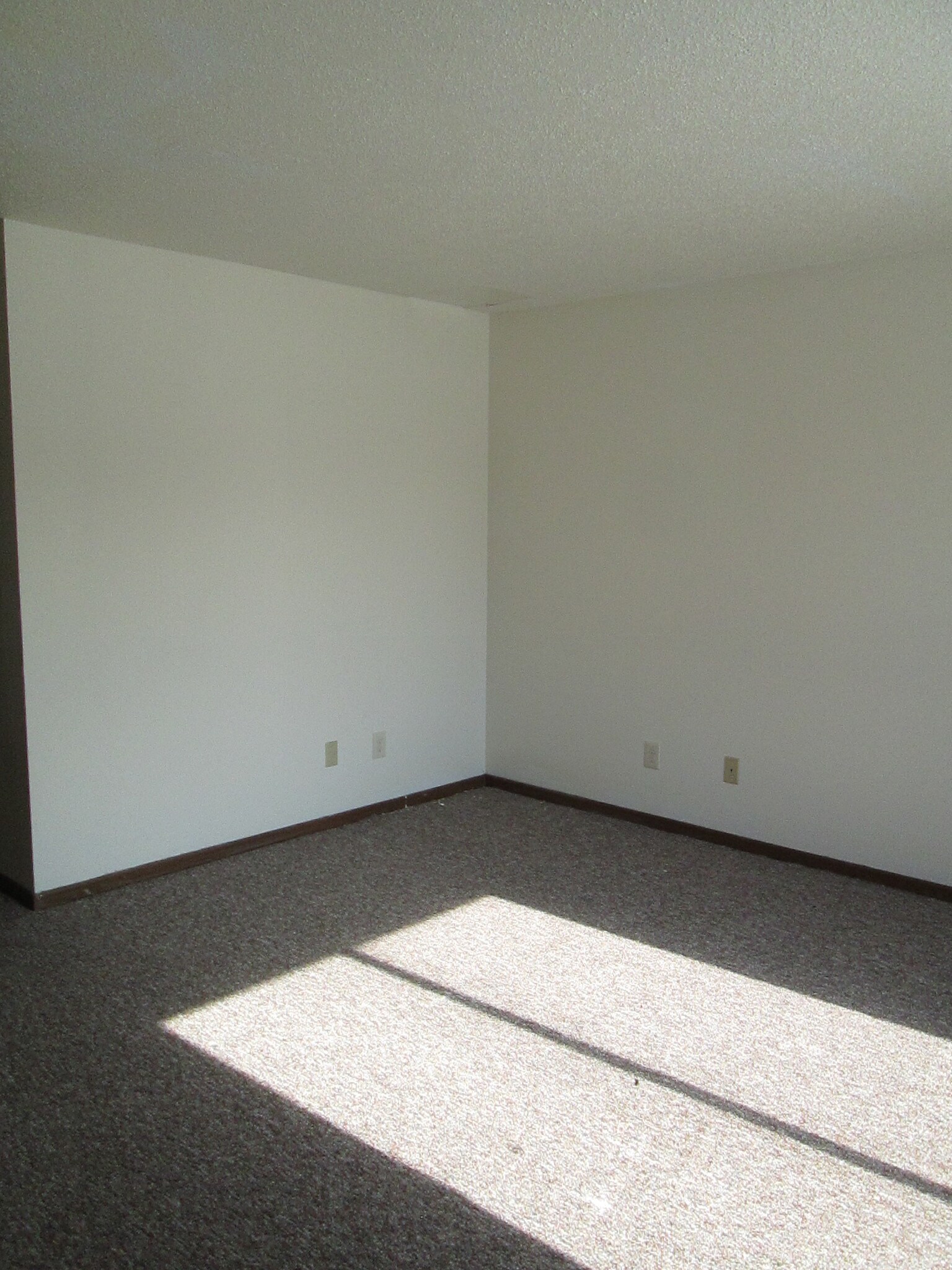 Building Photo - 100 Ludland Dr
