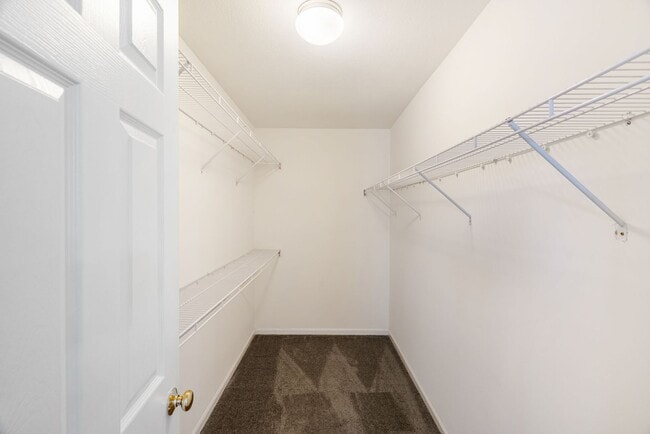 Building Photo - 3509-3511-3511 La Mesa Dr