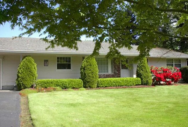 Primary Photo - Spacious Yard and Home