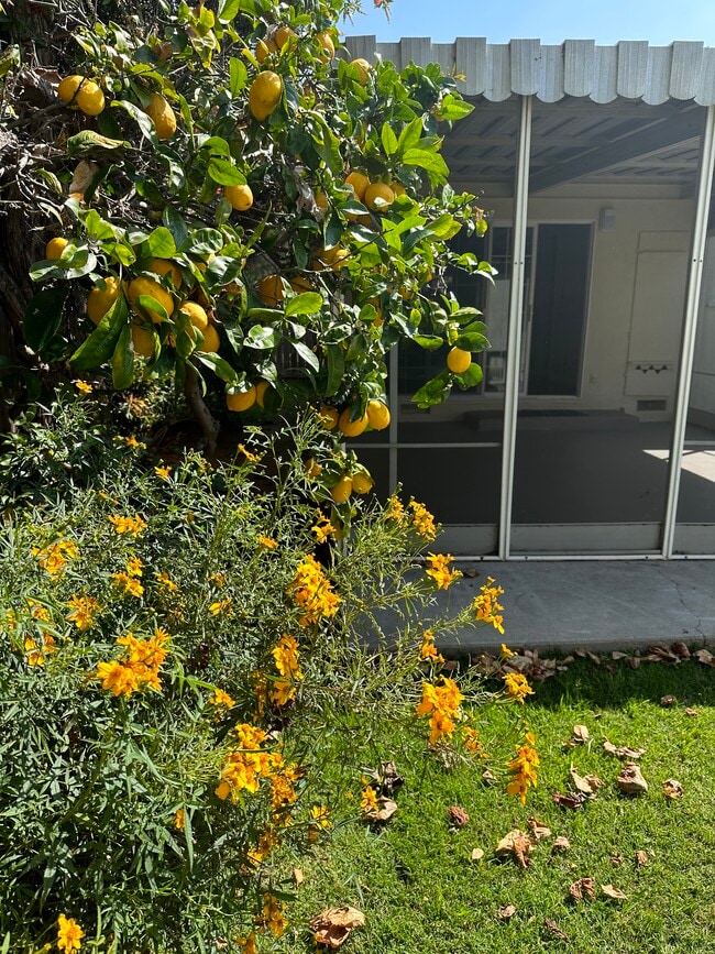 Building Photo - 2133 Glyndon Ave