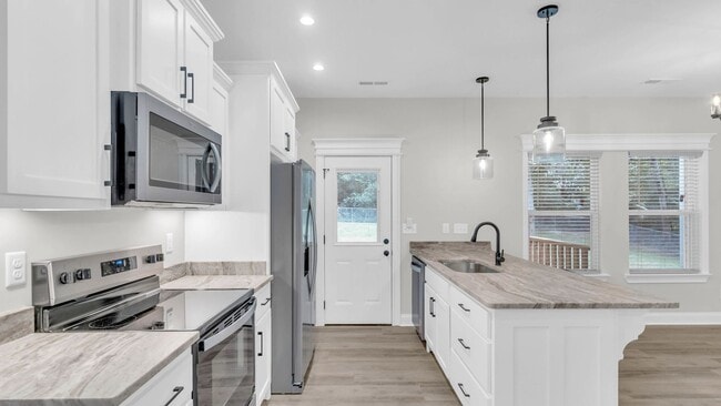 Building Photo - Brand new, 4 bedroom home!