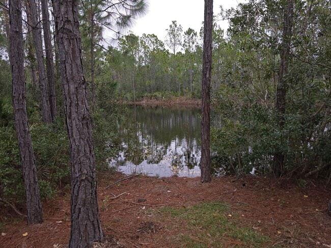 Building Photo - Beautiful 3 Bedroom 2 Bathroom Home, with Scenic Backyard View. Ormond Beach in Hunter's Ridge Co...