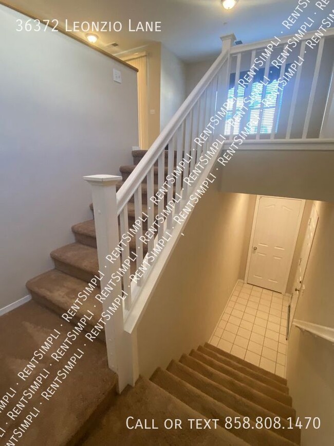 Building Photo - 36372 Leonzio Ln