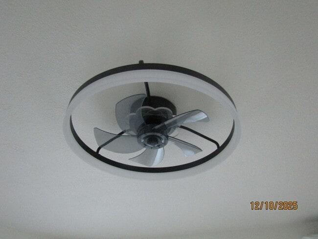 Building Photo - Very Rare 2 Bedroom House on a large lot with separate bonus unit!