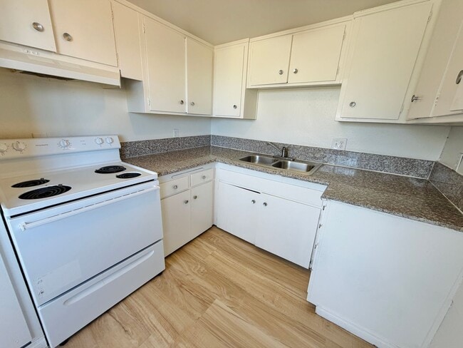 Building Photo - 537 Kolson Cir
