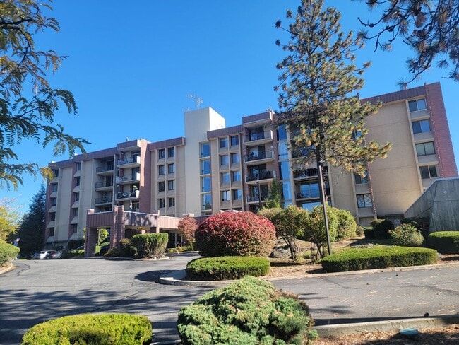 Primary Photo - 1 Bedroom Condo In Secure Access Building ...