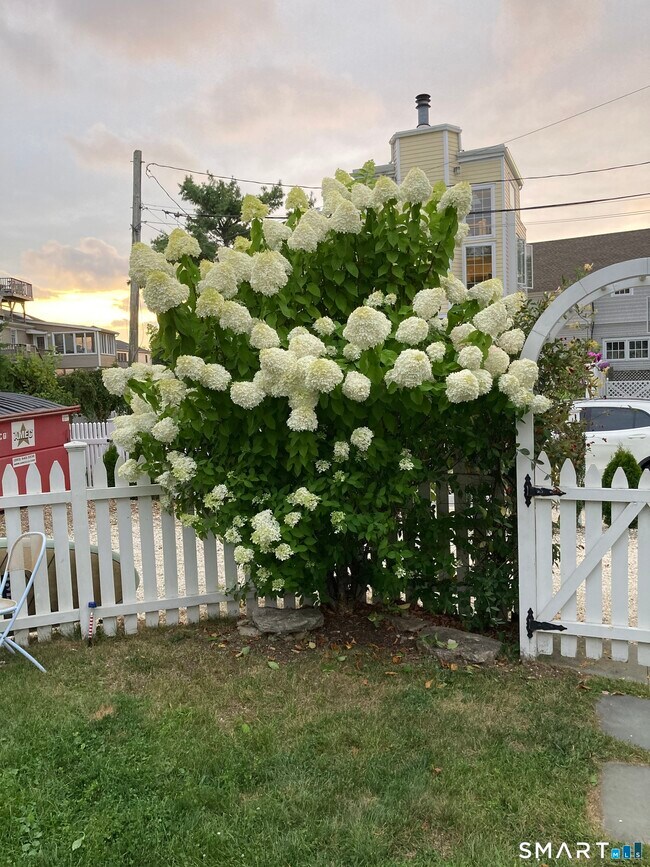 Building Photo - 9 Rowland Pl