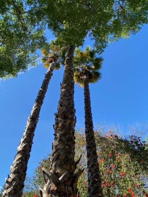 Building Photo - 2932 St George St