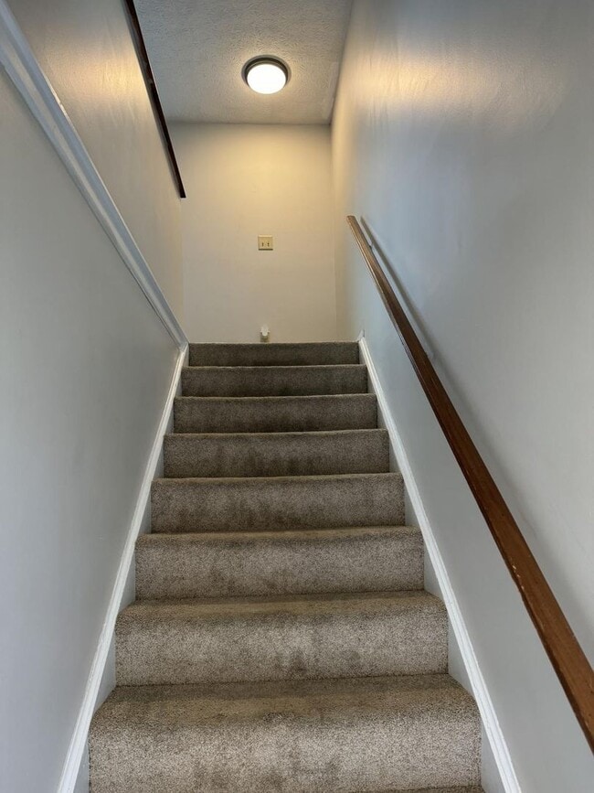 Building Photo - 4229 Briarwood Dr