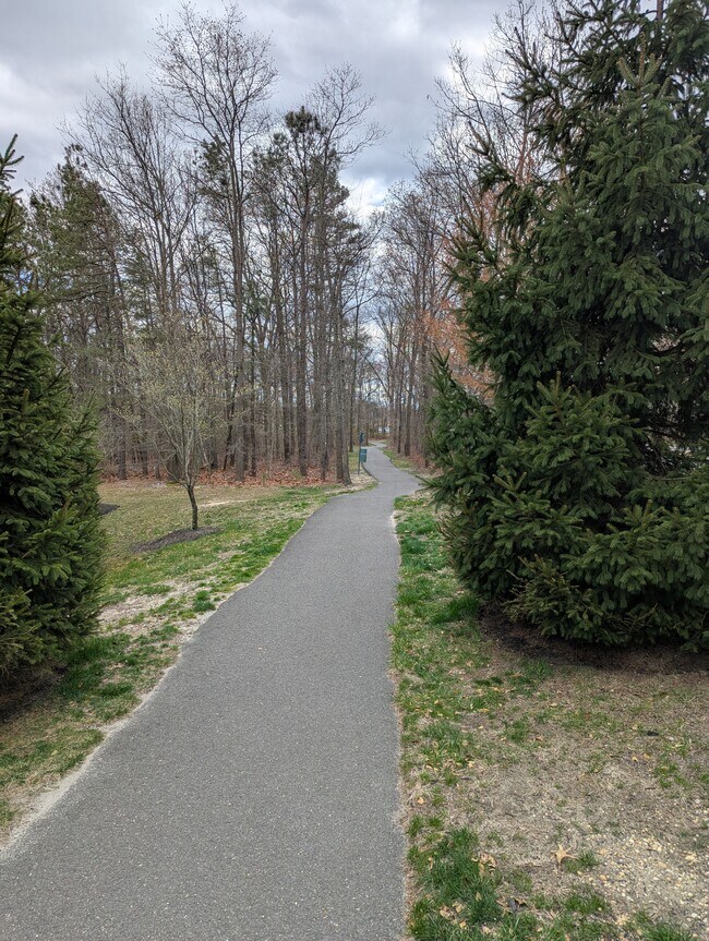 Community walking path - 36 Jake Dr