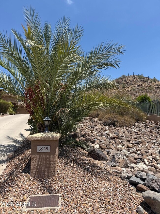 Building Photo - 3928 W Range Mule Dr